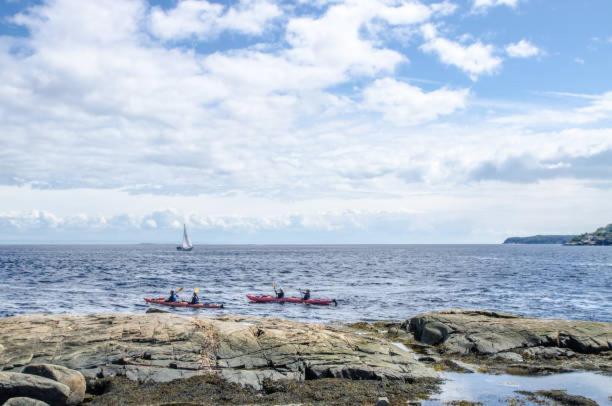 Motel De L'Anse A L'Eau Tadoussac Kültér fotó